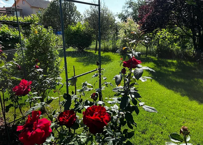 El Rinconcito De Cinderellana Holiday home